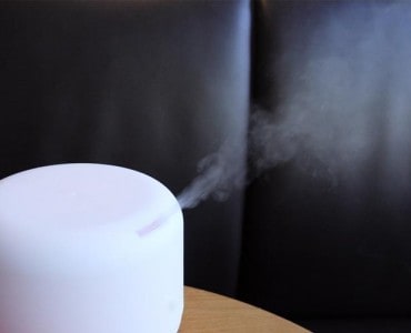 best humidifier for eczema