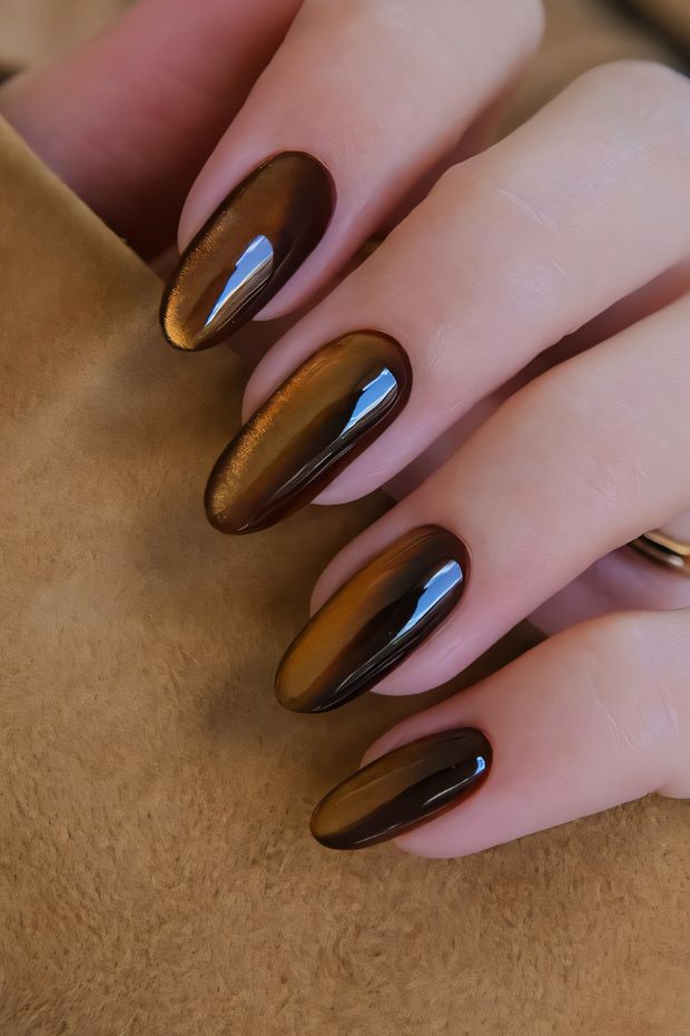Stylish dark brown ombre nail art with a glossy finish on well-manicured hands.